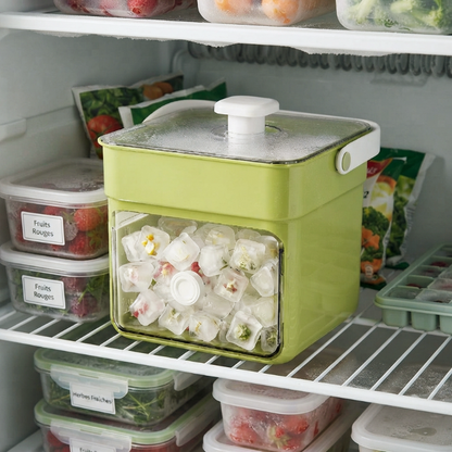 Bacs à glaçons vert dans le congélateur