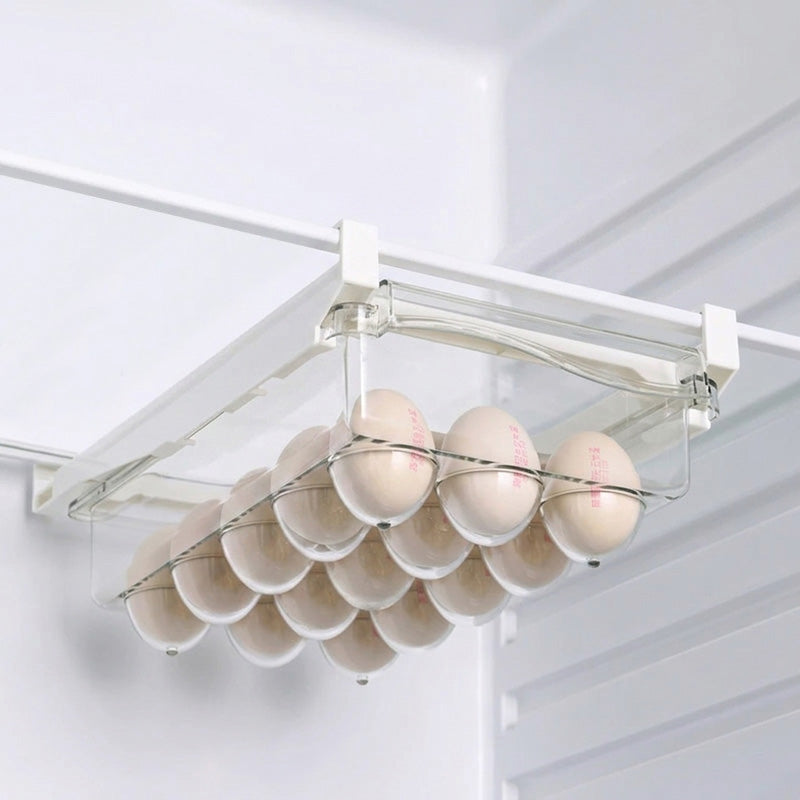 Boite à oeuf seul dans frigo